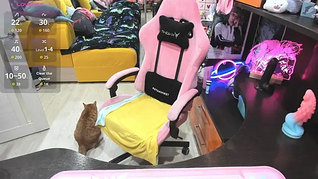 Softie Sofy online show from 8, 4, 2026