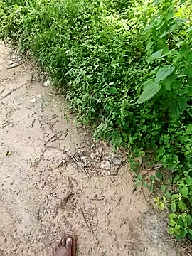 rameshmry1 online show from 19, 10, 2025