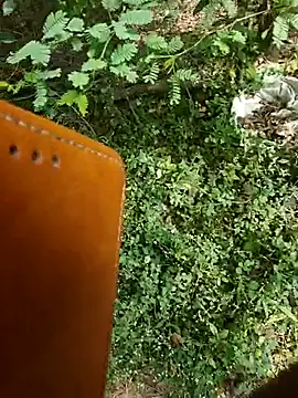 rameshmry1 online show from 7, 1, 2026