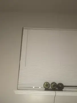 Foreignthababyy online show from 9, 1, 2026