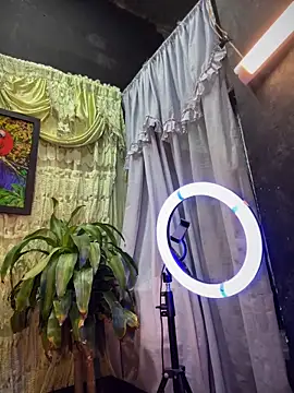 uma patna000 online show from 11, 2, 2025