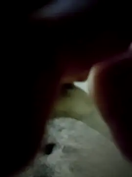 mc8k35MGadbuhPr online show from 11, 11, 2025