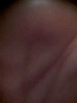 sua sub  online show from 16, 3, 2026