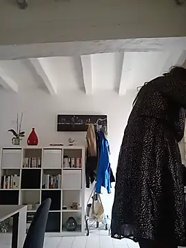 Transvirginie online show from 26, 6, 2026