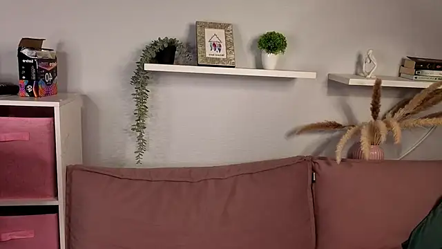Tori cat online show from 24, 5, 2026
