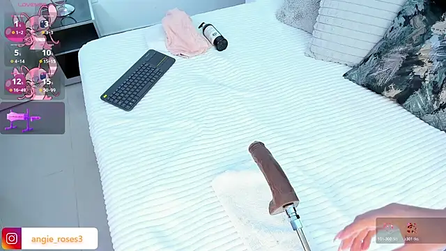 angiee roses online show from 2, 11, 2025