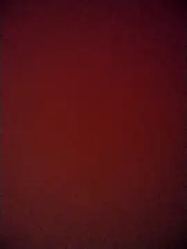 martuk online show from 11, 2, 2025