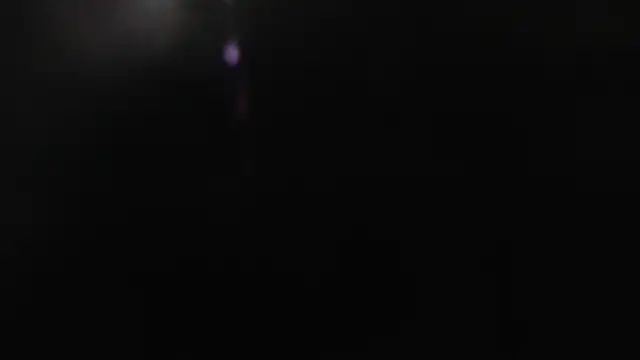 Q T pie online show from 3, 12, 2025