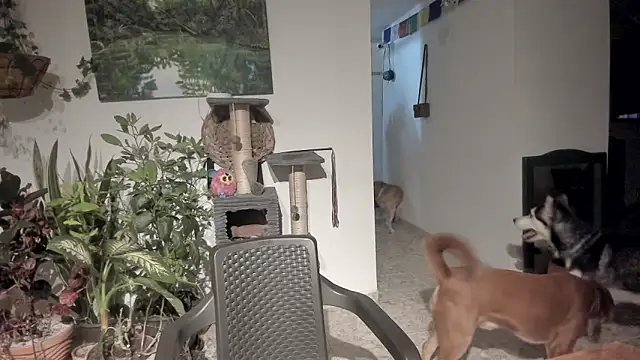 sexnherbs online show from 21, 4, 2026