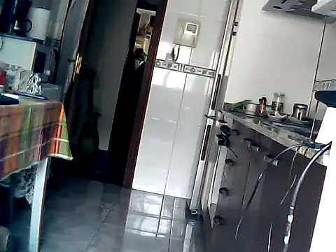 bixesualactivo online show from 13, 4, 2026