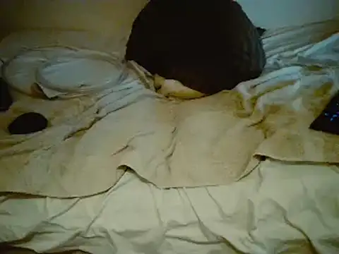 Snapshot of pfagLA chatting on 14, 12, 2024 pfagLA online show from 14, 12, 2024