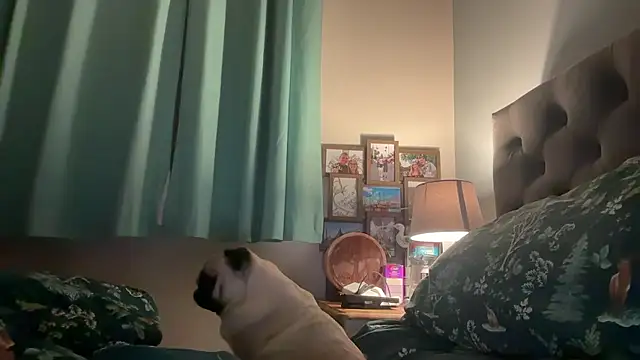 short sweetpea online show from 12, 1, 2026