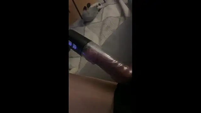 petuletra online show from 8, 3, 2026