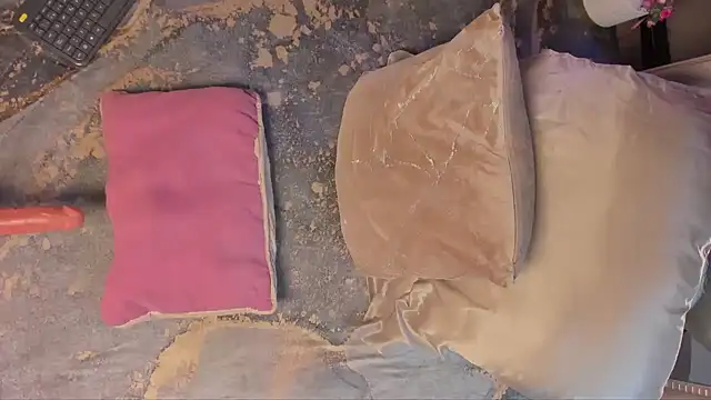 Sia 37 online show from 22, 4, 2026