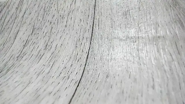 LittleSonya online show from 15, 12, 2025