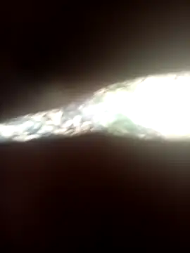 FinableKnee online show from 14, 2, 2026