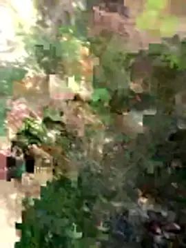 FinableKnee online show from 26, 3, 2026