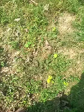 FinableKnee online show from 15, 10, 2025