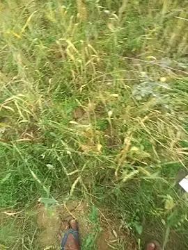 FinableKnee online show from 29, 3, 2026