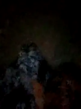 FinableKnee online show from 10, 11, 2025