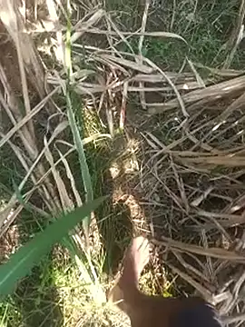 FinableKnee online show from 16, 10, 2025