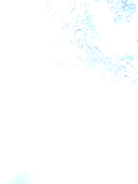 FinableKnee online show from 6, 1, 2026