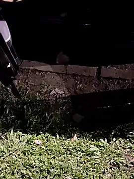 jeancarloscum12 online show from 10, 2, 2026