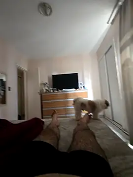 MysterBearMG online show from 25, 10, 2025