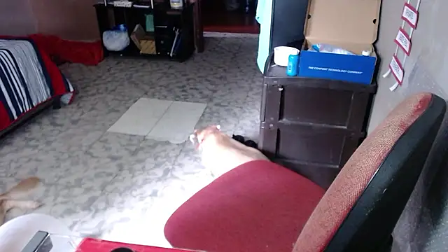 Barbiegomez online show from 25, 3, 2026