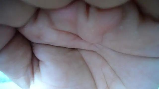 cum bigass online show from 23, 10, 2025