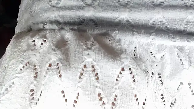 Snapshot of aleera_starxx982 chatting on 11, 1, 2026 aleera starxx982 online show from 11, 1, 2026