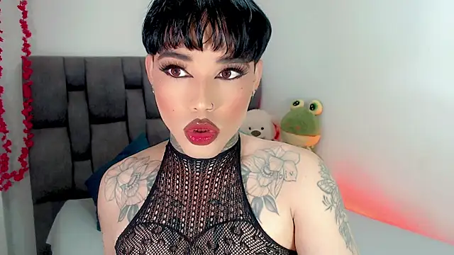 little star porn online show from 27, 2, 2026