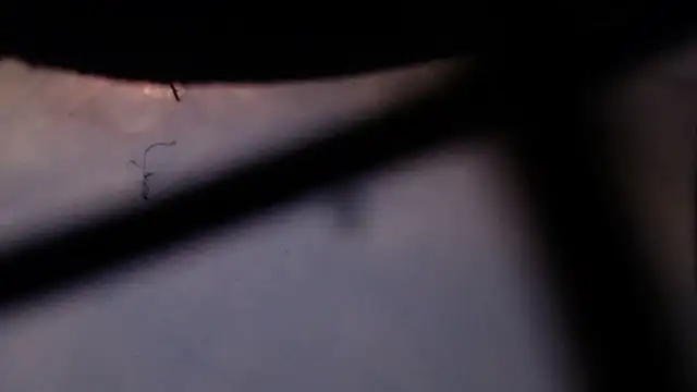 Cordt27 online show from 12, 2, 2026