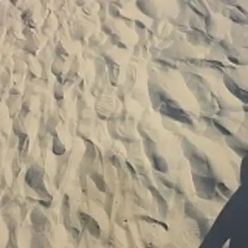 Trucker Hunter online show from 26, 10, 2025