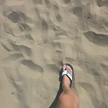 Trucker Hunter online show from 8, 2, 2026