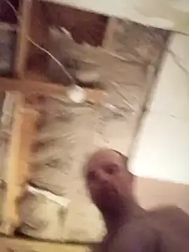 420pussylickr online show from 7, 3, 2026