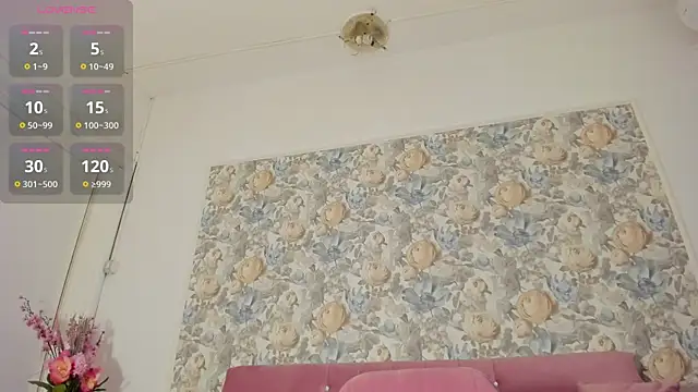 illegal lorry online show from 20, 2, 2026