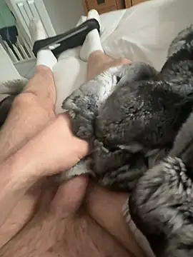 Furdale online show from 15, 4, 2026