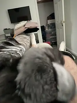 Furdale online show from 17, 10, 2025