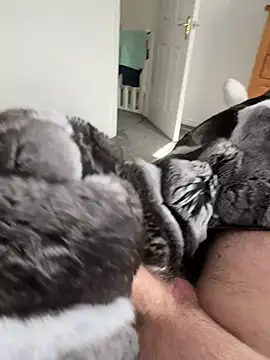 Furdale online show from 22, 3, 2026