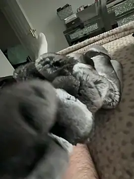 Furdale online show from 9, 2, 2026