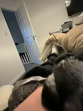 Furdale online show from 12, 3, 2026