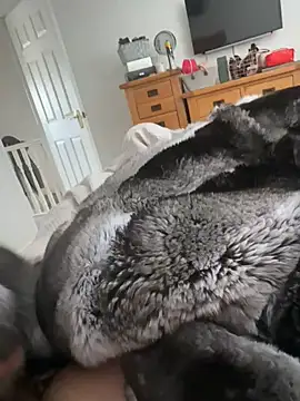 Furdale online show from 18, 4, 2026