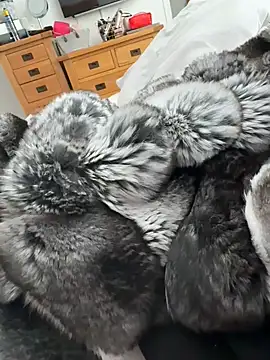 Furdale online show from 22, 4, 2026