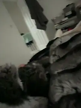 Furdale online show from 9, 3, 2026