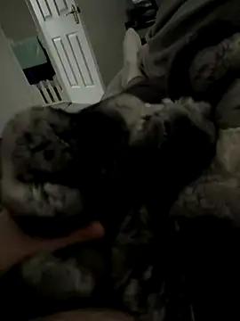 Furdale online show from 27, 11, 2025