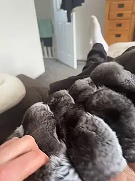 Furdale online show from 7, 4, 2026