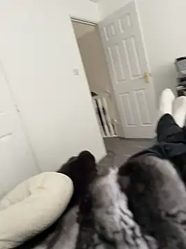 Furdale online show from 18, 3, 2026