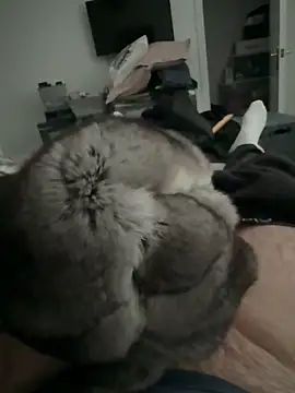 Furdale online show from 2, 12, 2025