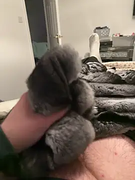 Furdale online show from 12, 2, 2026